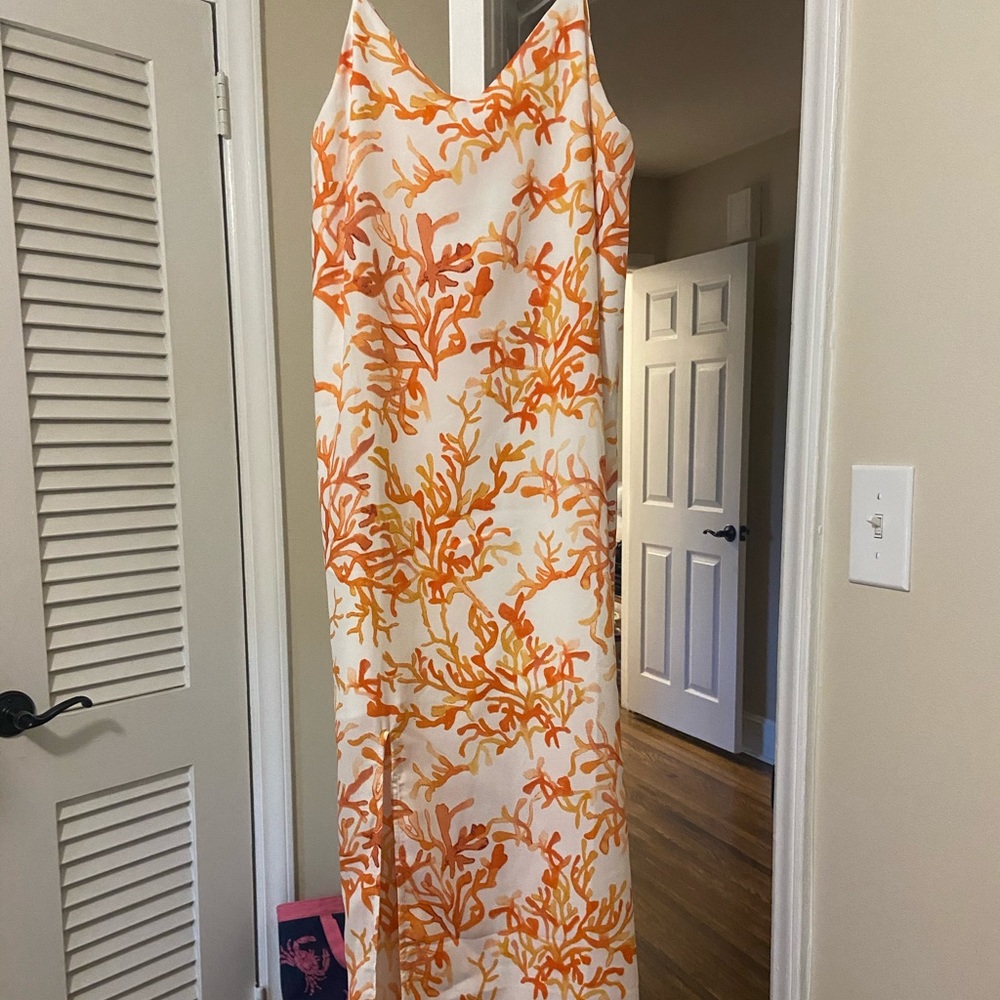 NWT dress
